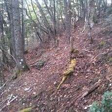 141004_p37.jpg