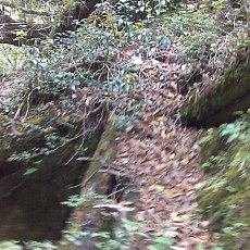 150522_n01.jpg
