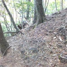 151010_p17.jpg