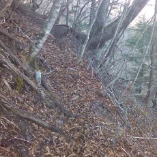 160329_p04.jpg