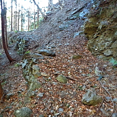 170203_p02.jpg
