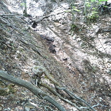 190518_p27.jpg