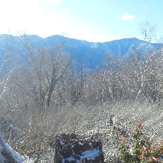 191129_p18.jpg