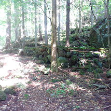 200605_p09.jpg