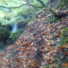 201018_p03.jpg