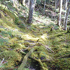 210916_p29.jpg
