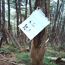220618_p20.jpg