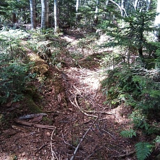 221028_p25.jpg