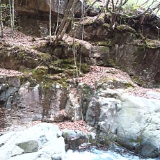 230502_p04.jpg
