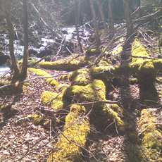 120430_p02.jpg