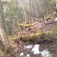 120430_p04.jpg