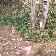 120525_p01.jpg