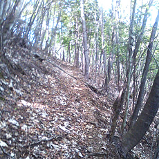 130517_p05.jpg