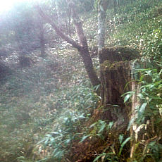 130914_p06.jpg