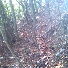141011_p26.jpg