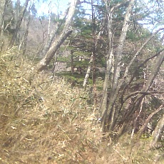150429_p18.jpg