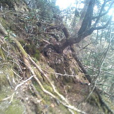 150429_p29.jpg
