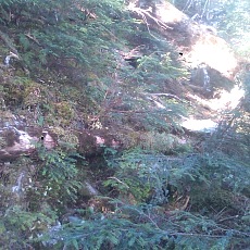 150430_p09.jpg
