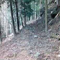 151207_p02.jpg