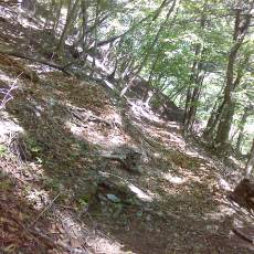 160603_p02.jpg