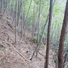 161010_p13.jpg