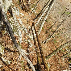 180412_p18.jpg