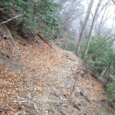 190323_p15.jpg