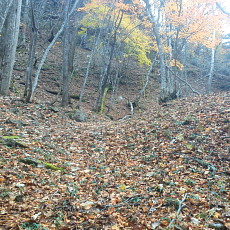 191104_p32.jpg