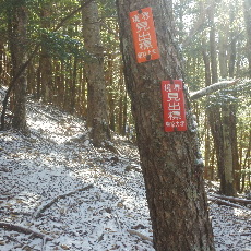 191129_p14.jpg