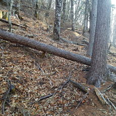 201117_p30.jpg