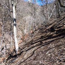 220416_p27.jpg
