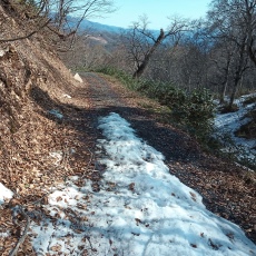 220513_p20.jpg