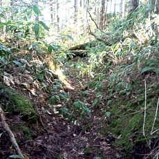 241112_p26.jpg
