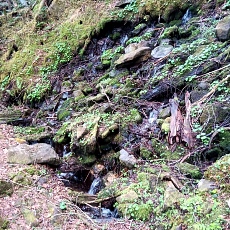 240612_p31.jpg