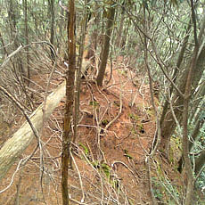 130706_p31.jpg