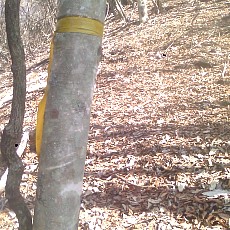 150330_p19.jpg