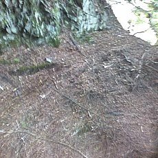150905_p08.jpg