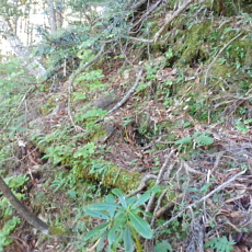 161015_p16.jpg