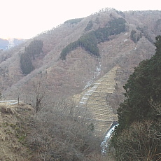 170203_p22.jpg