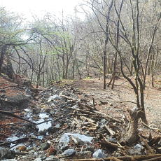 180412_p02.jpg