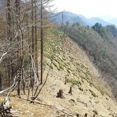 180412_p38.jpg