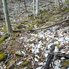 190302_p21.jpg