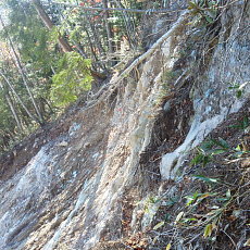 191104_p17.jpg