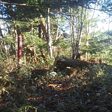 191104_p20.jpg