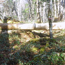 191104_p28.jpg