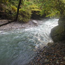 201018_p02.jpg