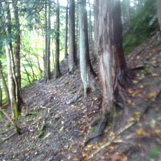 201018_p05.jpg