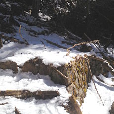 210315_p28.jpg