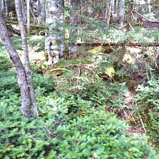210916_p38.jpg