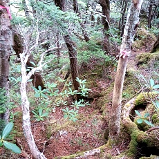 220618_p16.jpg